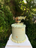 Sprinkle Cake